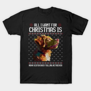 All I Want for Christmas is Nova Scotia Duck Tolling Retriever - Christmas Gift for Dog Lover T-Shirt